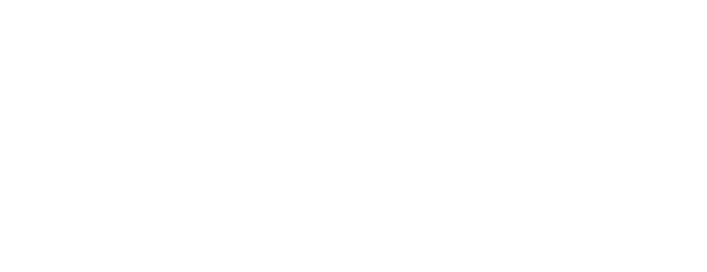 Vision & Synergy